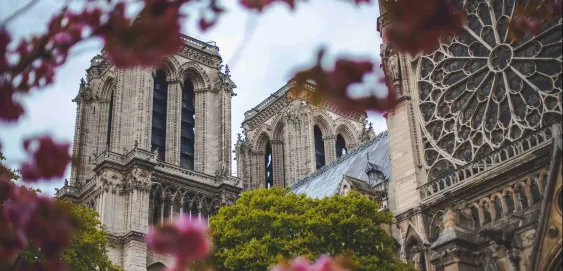 Cathédrale-Notre_Dame Paris Fleures Arbres